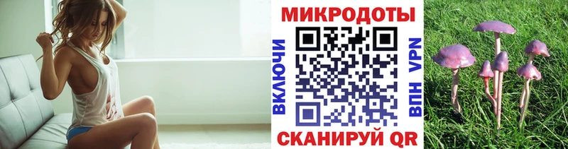 купить  сайты  hydra как войти  Псилоцибиновые грибы мухоморы  Вольск 