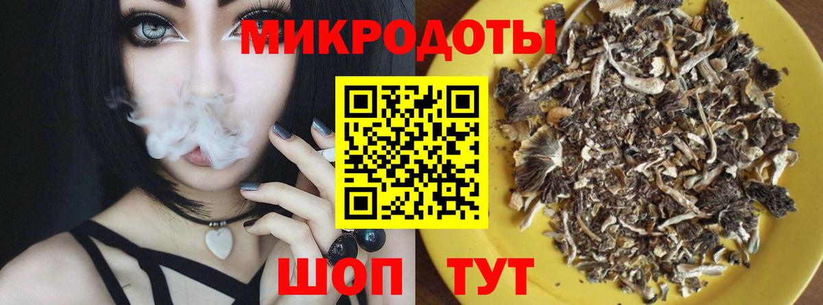 Галлюциногенные грибы Psilocybine cubensis Вольск